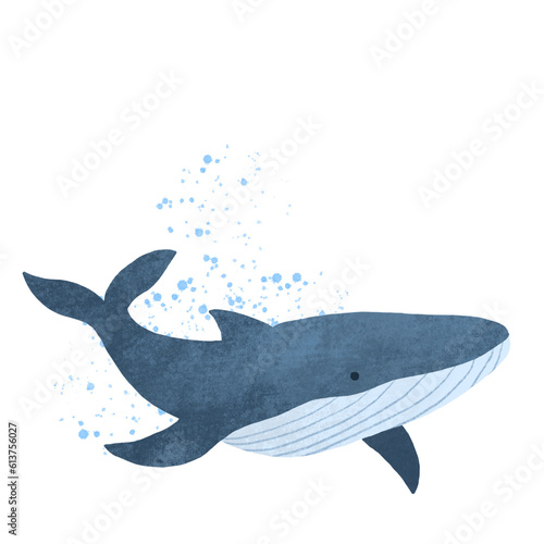 whale illustration