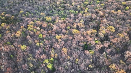 Aerial Chancellorsville Virginia forest battle field evening climb. Farms, forest, lakes and recreation campgrounds. Battle ground during American Civil War.  Summer recreational activities. photo