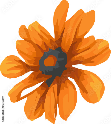 Orange yellow marigold flower watercolor