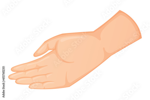Vector isolated cartoon human hand turned palm up.