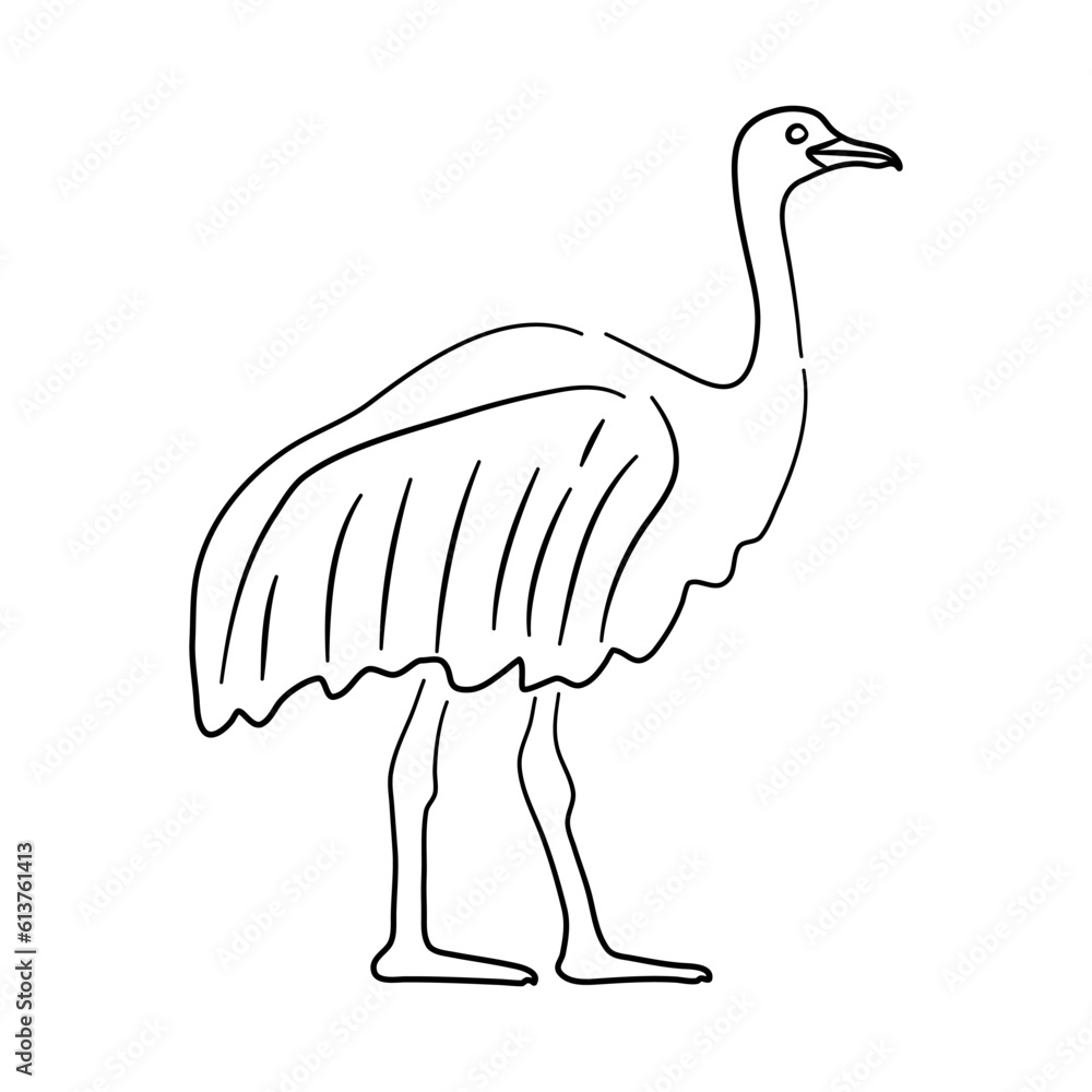 Hand drawn illustration of a Ostrich. Vector isolated on a white background. Hand drawn illustration of a Ostrich. Vector isolated on a white background.