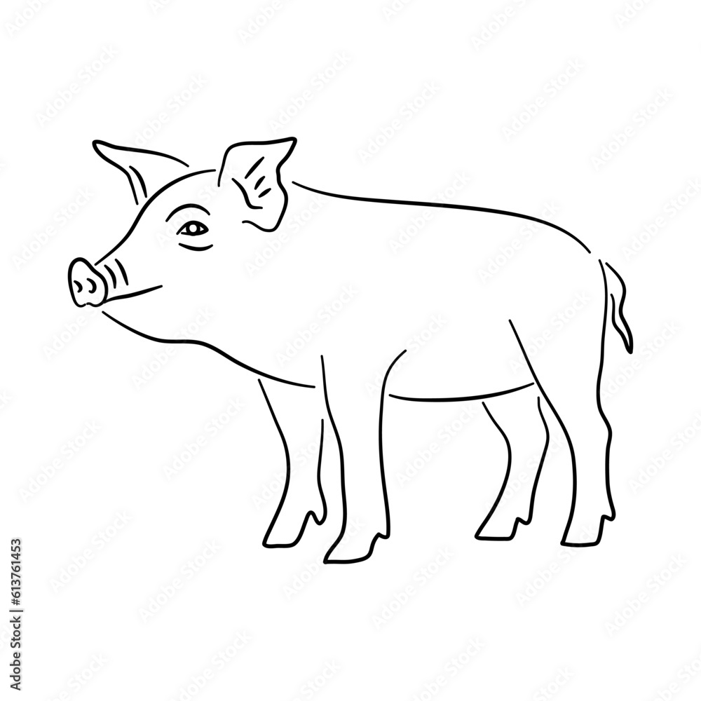 Piggy illustration in hand drawn design. Vector.