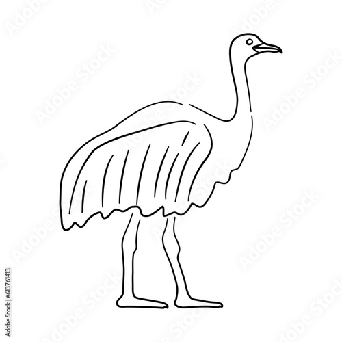 Hand drawn illustration of a Ostrich. Vector isolated on a white background.