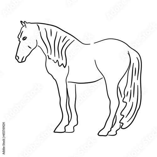Horse illustration in hand drawn design. Vector.
