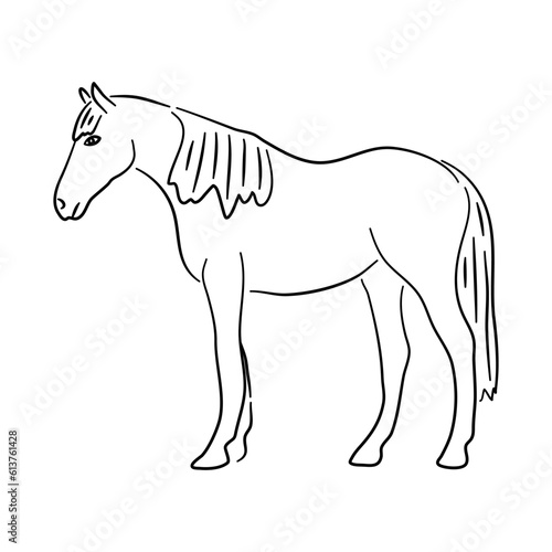 Hand drawn illustration of a Horse. Vector isolated on a white background.