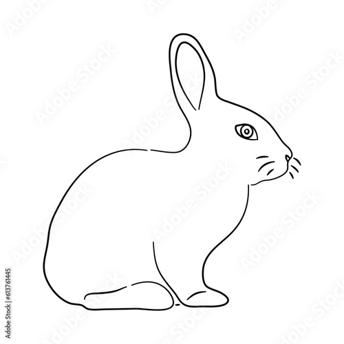 Hand drawn illustration of a Rabbit. Vector isolated on a white background.