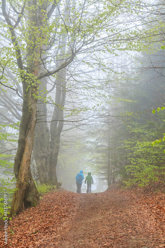 Tourist trail from Wierchomla Mała to Długie Młaki during bad foggy weather near Piwniczna-Zdrój spa in Beskid Sądecki, Poland photo