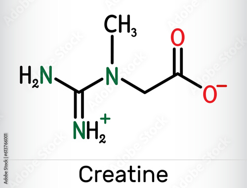 Creatine molecule, food supplements. Structural chemical formula.