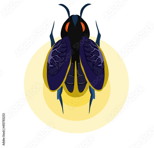 firefly beetle illustration vector on white background