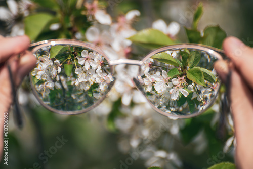 Myopia glasses in woman hands close-up, looking on blooming spring trees flowers in focus with blurry background. Nearsighted refractive lenses outdoors in nature. 