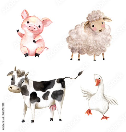 Fototapeta Naklejka Na Ścianę i Meble -  Cute farm animals. isolated. 
Goose, cow, pig, and lamb. Watercolor hand-drawn illustration.