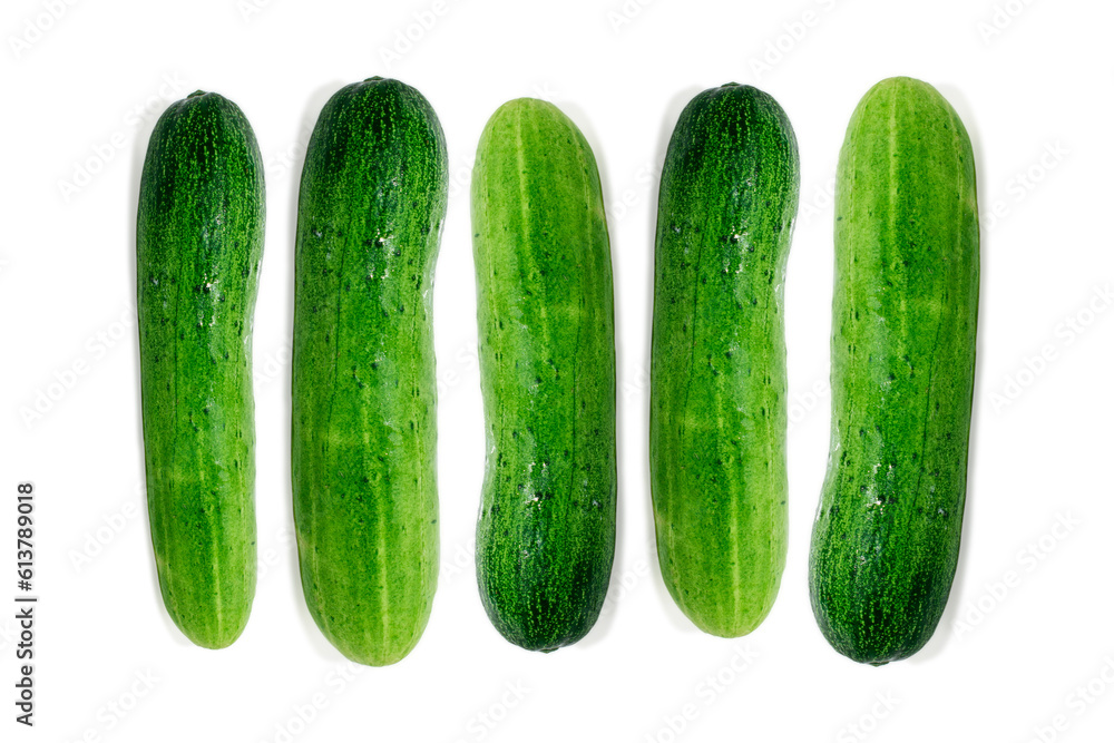 Cucumber isolated on white background, fresh cucumbers Cucumber isolated on white background, fresh cucumbers