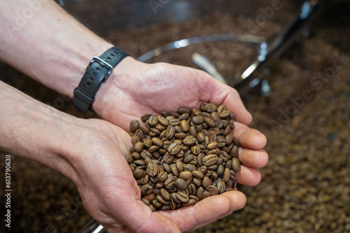grains de café torréfiés dans les mains d'un artisan