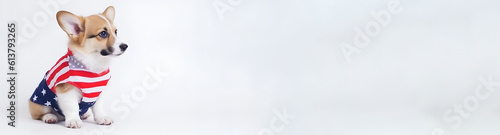 Beautiful patriotic corgi puppy dressed in the American flag, on a white isolated background. banner. celebrating Independence Day, Generative AI