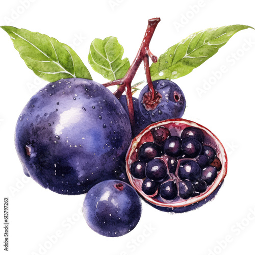 A Splash of Acai, Watercolor Fruit Delight