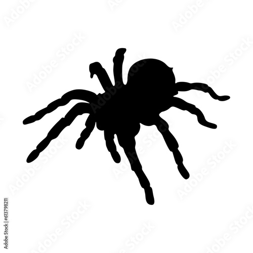 Red knee Tarantula Silhouette. Good To Use For Element Print Book, Animal Book and Animal Content