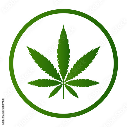 Green marijuana leaf vector design