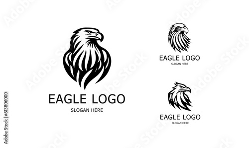 Eagle logo vector. Stylized graphic eagle bird logo template, Vector element for logo, badges or labels design.