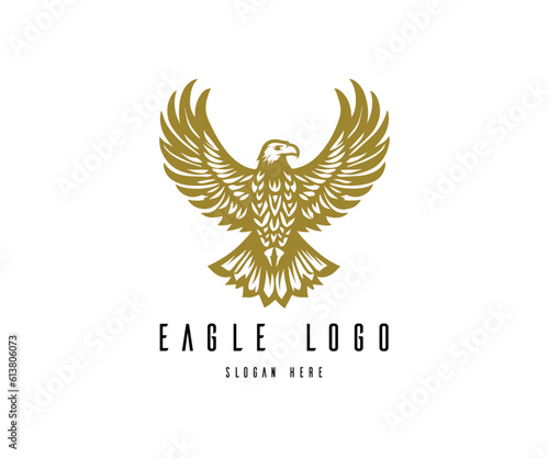Eagle logo vector. Stylized graphic eagle bird logo template, Vector element for logo, badges or labels design.