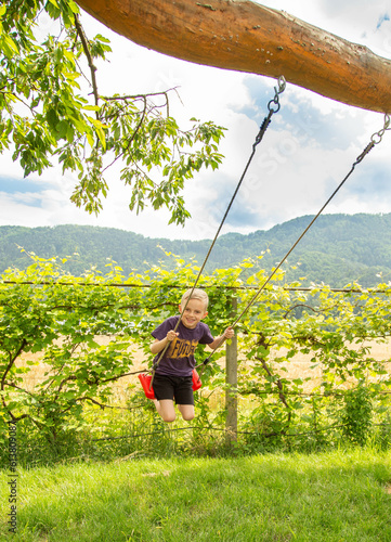 A boy of seven years old rides on a swing in the garden photo