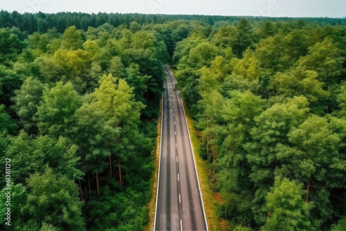 Beautiful Asphalt Road In Dense Forest, Aerial View From Drone. Generative AI