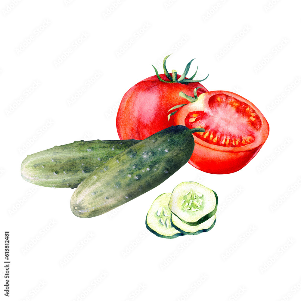 Watercolor composition of vegetables,onions,carrots, beets,zucchini, eggplant, cucumbers, tomatoes, peppers. Hand drawn on a white background for packaging design, fabric printing, posters,banner,card Watercolor composition of vegetables,onions,carrots, beets,zucchini, eggplant, cucumbers, tomatoes, peppers. Hand drawn on a white background for packaging design, fabric printing, posters,banner,card