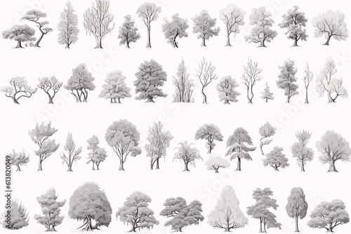 collection of trees