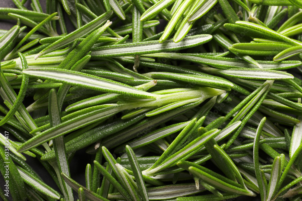 Fresh green rosemary leaves as background, closeup Fresh green rosemary leaves as background, closeup