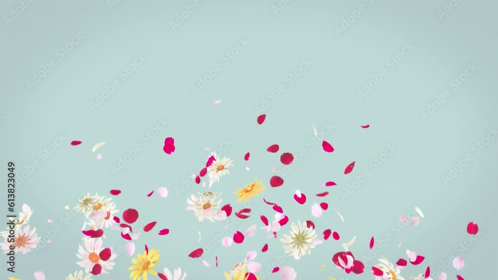 Flower and Petals Blast Pack on Alpha Channel. 3D rendering. Blast of flower 2 clip on alpha channel and on pastel background Flower and Petals Blast Pack on Alpha Channel. 3D rendering. Blast of flower 2 clip on alpha channel and on pastel background
