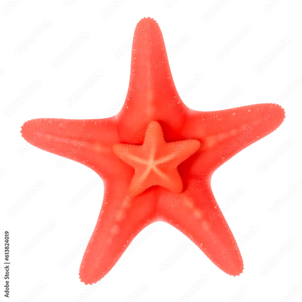 Red starfish Red starfish