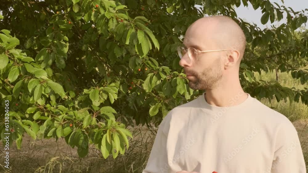 happy young charismatic man in beige t-shirt and eats delicious ripe red cherries from tree, gardening concept, summer vitamins, vegetarian food, wholesome healthy eating happy young charismatic man in beige t-shirt and eats delicious ripe red cherries from tree, gardening concept, summer vitamins, vegetarian food, wholesome healthy eating