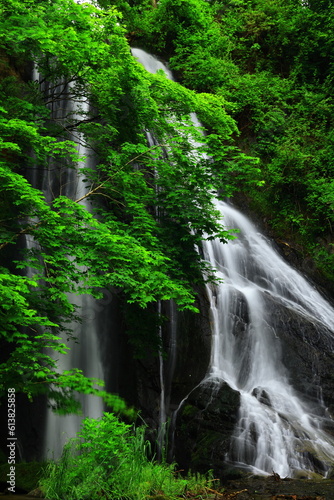 Fototapeta Naklejka Na Ścianę i Meble -  夏の緒ヶ瀬の滝