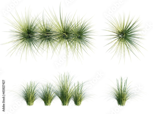 isolated cut out grass in 2 different view option, best for landscape design, post pro visualization render.