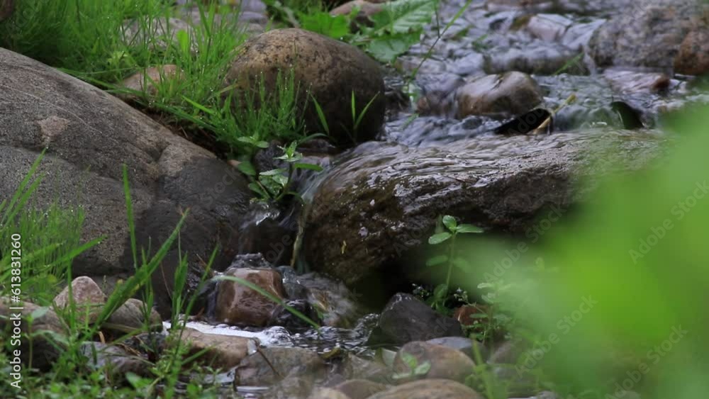 l'eau d'une rivière coule entre les rochers de la forêt l'eau d'une rivière coule entre les rochers de la forêt