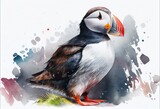 Picture of a watercolor drawing of a puffin or Fratercula arctica. Generative AI