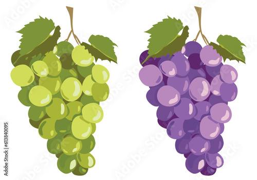 Murais de parede Black and white grapes isolated on white background