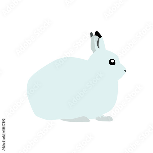 Animal illustration. Sitting polar hare drawn in a flat style. Isolated object on a white background. Vector 10 EPS
