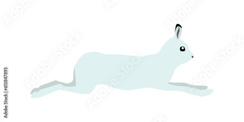 Animal illustration. Running polar hare drawn in a flat style. Isolated object on a white background. Vector 10 EPS