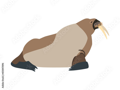 Animal illustration. Sitting walrus drawn in a flat style. Isolated object on a white background. Vector 10 EPS