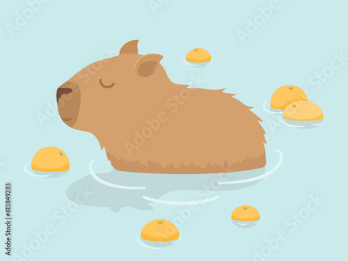 Cute Capybara vector design. Capybara in Japanese Onsen hot spring. Capybara and oranges. Kawaii drawing, funny illustration.