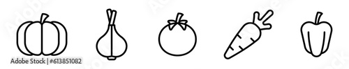 Conjunto de iconos de vegetales. Alimentos orgánicos. Calabaza, nabo, tomate, zanahoria, pimiento. Ilustración vectorial