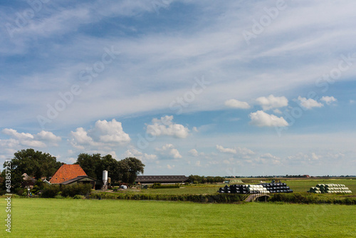 Boerderij, Farm
