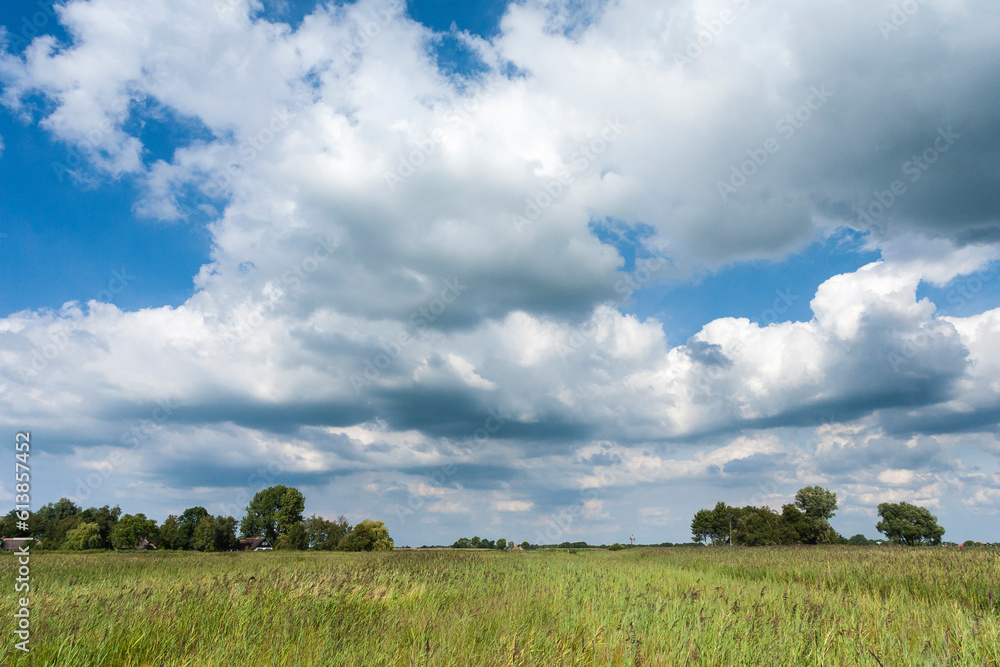 Landscape at Nationaal Park de Weerribben in summer