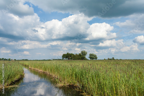 Landscape at Nationaal Park de Weerribben in summer