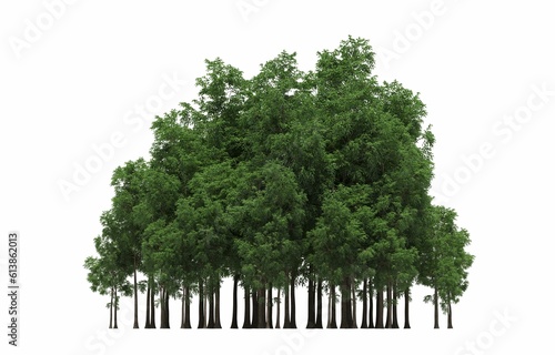 group of trees isolated on a white background, big trees in the forest, 3D illustration, cg render © vadim_fl