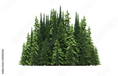 group of trees isolated on a transparent background  big trees in the forest  3D illustration  cg render
