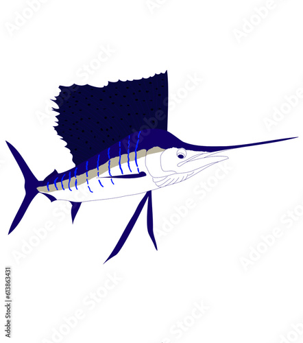 A Sailfish 