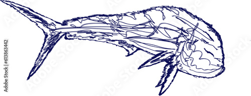 A dark blue doodle of a bull Mahi fish