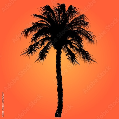 A Pam tree silhouette and warm sun background 