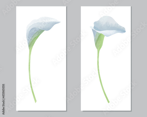 Vector watercolor diptych of two calla lilies